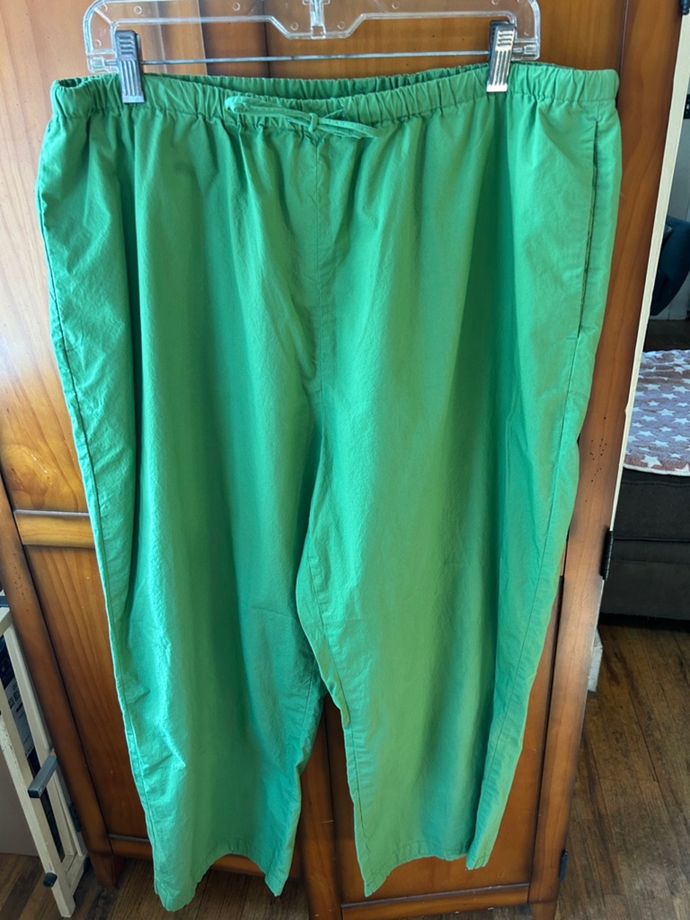 Banana Republic Green Elastic Drawstring Waist Pants